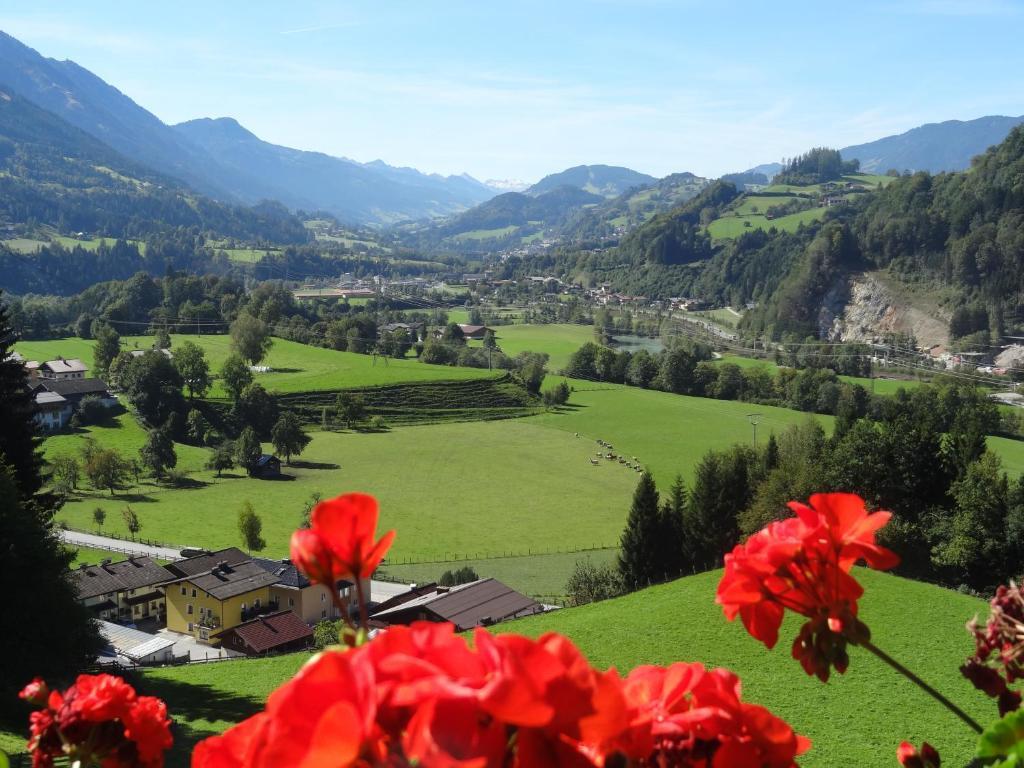 Pension Appartements Reithof St. Johann im Pongau Zimmer foto